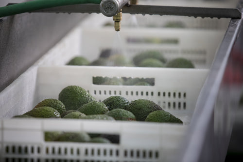 2023_MULTI_PURPOSE_BALM_V2_PERU_CAMPAIGN_PICTURES_FACTORY_18-min - Mustela Belgium - 1