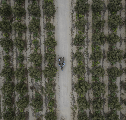 Champs-min_1 - Mustela Belgium - 1