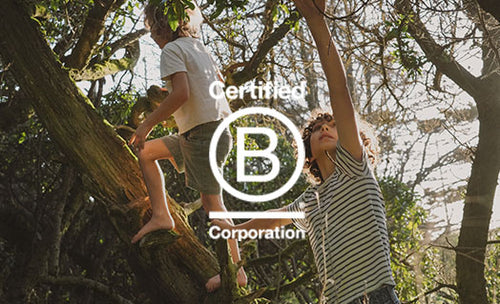 b-corp-menu - Mustela Belgium - 1