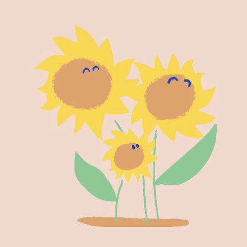 illustration-tournesol - Mustela Belgium - 1