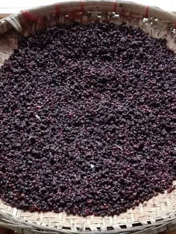 poudre-schisandra - Mustela Belgium - 1