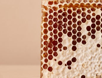 cire-abeille - Mustela Belgium - 1