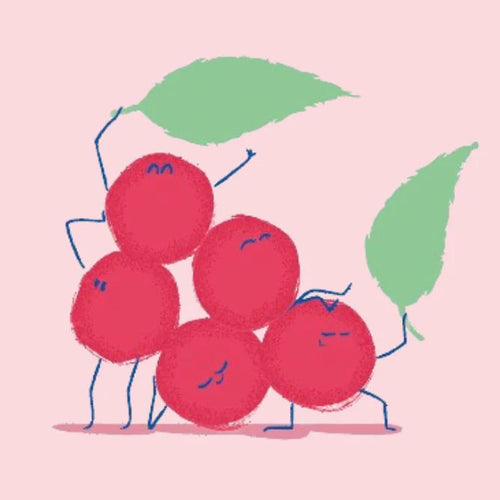 illustration-schisandra - Mustela Belgium - 1