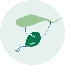 olive-min - Mustela Belgium - 1